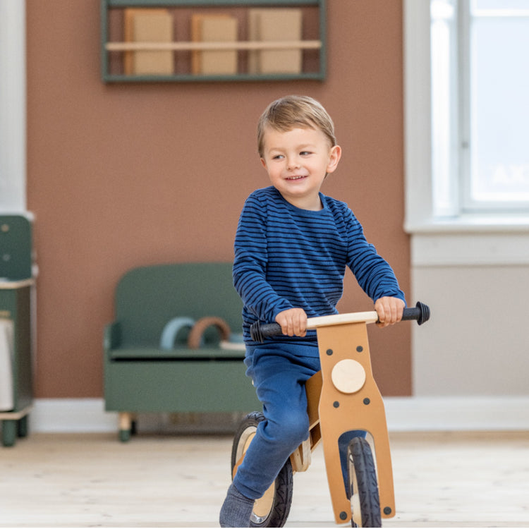 The Balance Bike