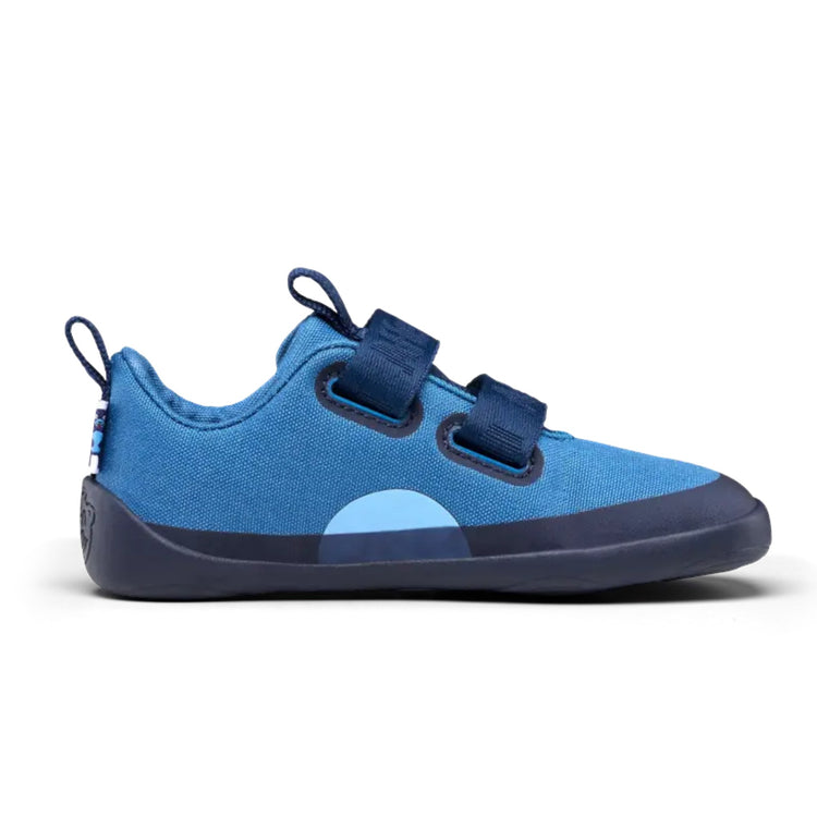 AFFENZAHN. Sneaker Cotton Lucky Bear