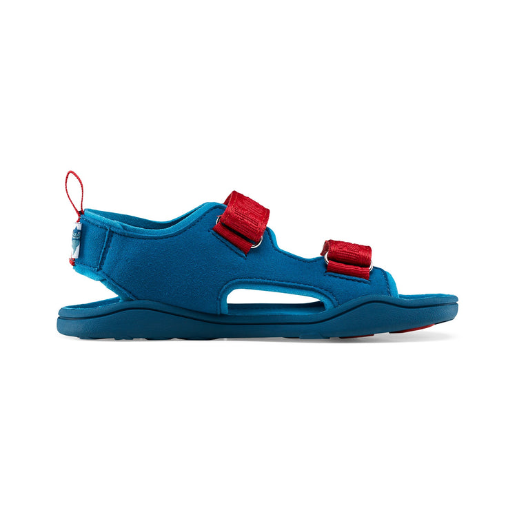 AFFENZAHN. Sandal Vegan Airy Shark
