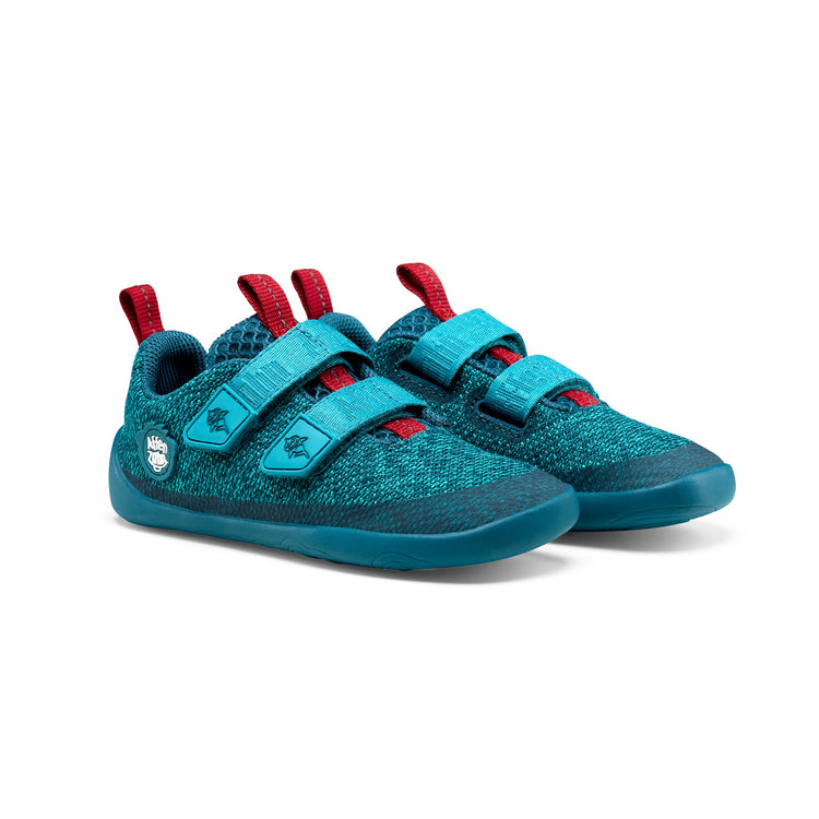 AFFENZAHN. Παπούτσια Sneaker Knit Happy Καρχαρίας