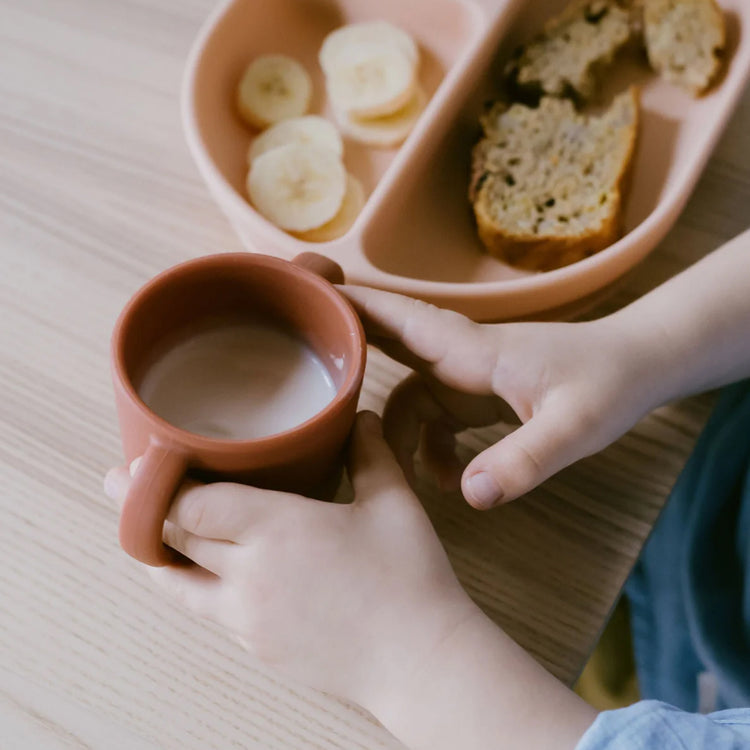 EKOBO. Bambino Silicone Sippy Cup with handles - Terracotta