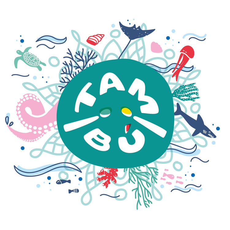 Juegaconmigo. Μεταλλόφωνο Tambu με 11 νότες (Matt Turquoise)
