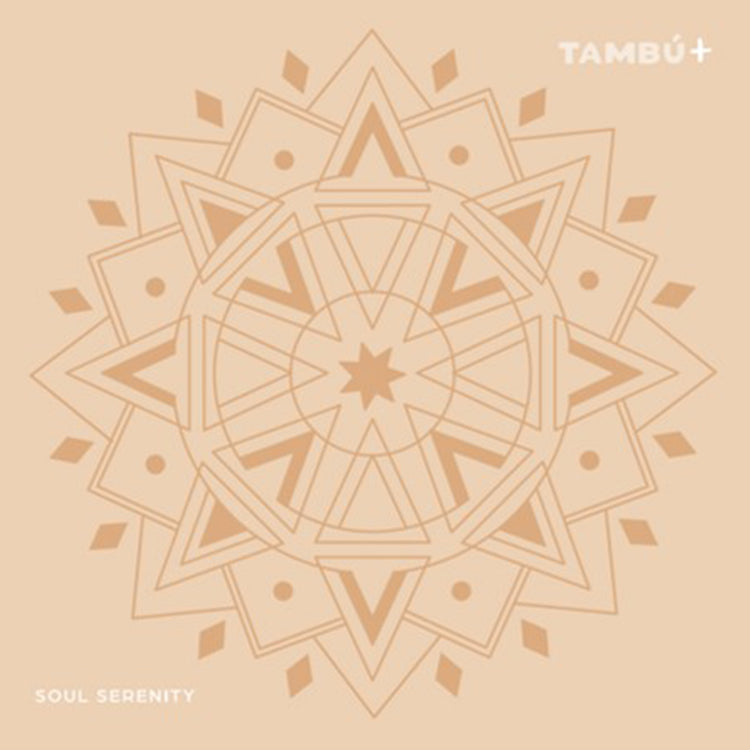 Juegaconmigo. Μεταλλόφωνο Tambu+ με 11 νότες Soul Serenity