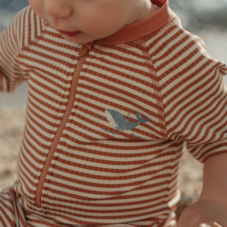 LITTLE DUTCH. Short Sleeve Swimsuit Ocean Brown Stripes