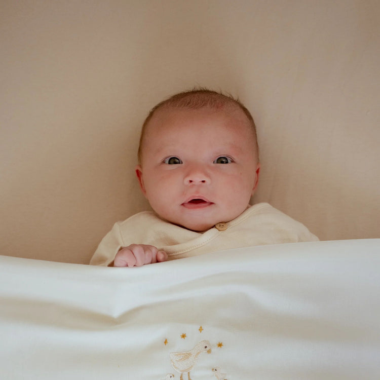 LITTLE DUTCH. Fitted cot sheet Pure Soft Beige