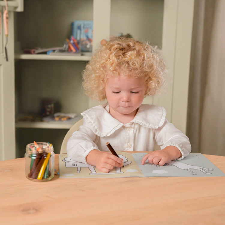 LITTLE DUTCH. Coloring Book Little Farm