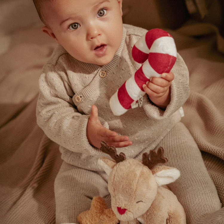 LITTLE DUTCH. Christmas giftset newborn GRS