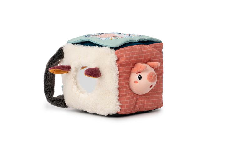 LILLIPUTIENS. Louis Wolf Dexterity Cube