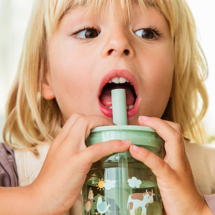 LITTLE DUTCH. Children's glass Mio 250 ml with straw - Fairy Garden