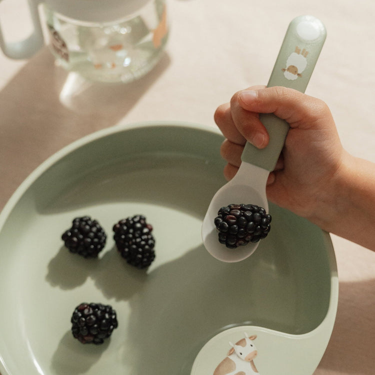 LITTLE DUTCH. Trainer spoon Mio set of 2 - Fairy Garden