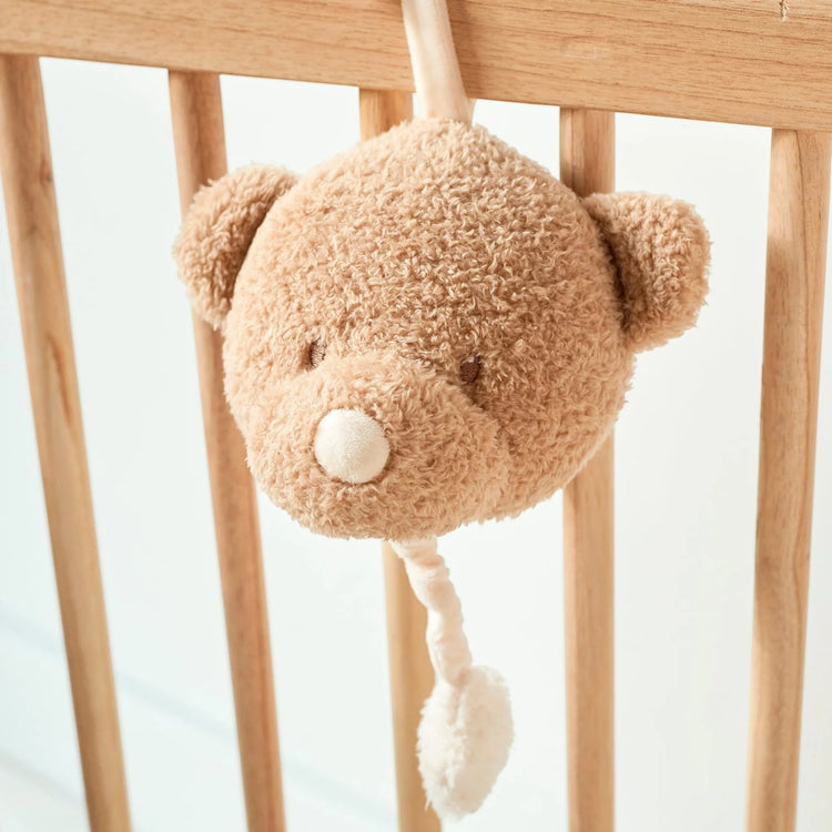 TEDDY. Musical Cuddly Bear