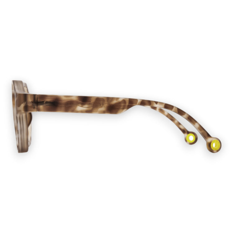 OLIVIO & CO. Adult Creative Edition D sunglasses Tortoiseshell
