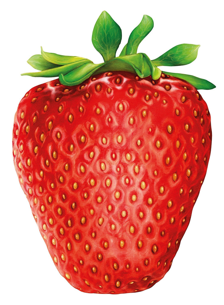 HUMMINGBIRD. 1000 Piece Jigsaw Puzzle: I Like Strawberry